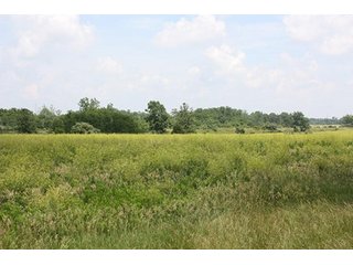 Property photo 25 - 419 +/- Acres offered in 6 Tracts, Land Auction